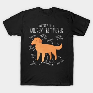 Golden Retriever Anatomy T-Shirt